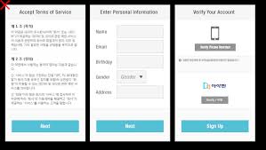 Buy Naver Account